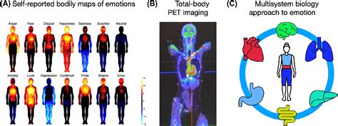 Analyzing the Emotional Reactions and Sensations Associated with Dreaming of an Injured Hand