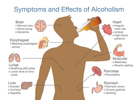 Analyzing the Impact of Alcohol on Dream Perception