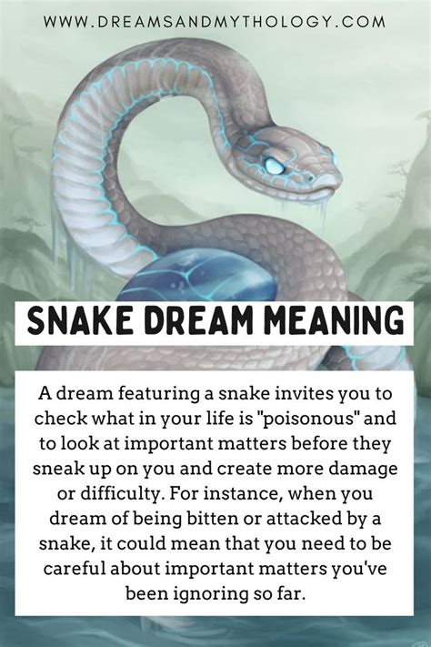 Analyzing the Meaning of a Dream Involving a Serpent