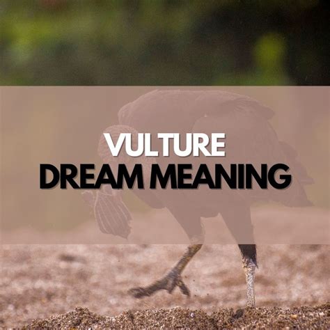 Analyzing the Possible Emotions Associated with Capturing a Vulture in a Dream