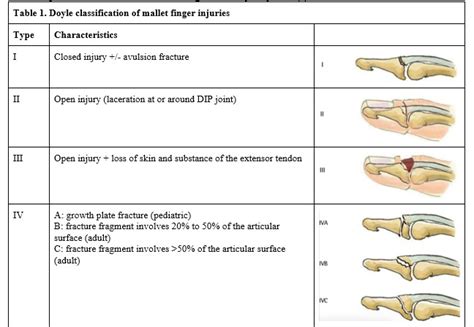 Analyzing the Potential Symbols Encountered in Dreams Depicting Thumb Injuries