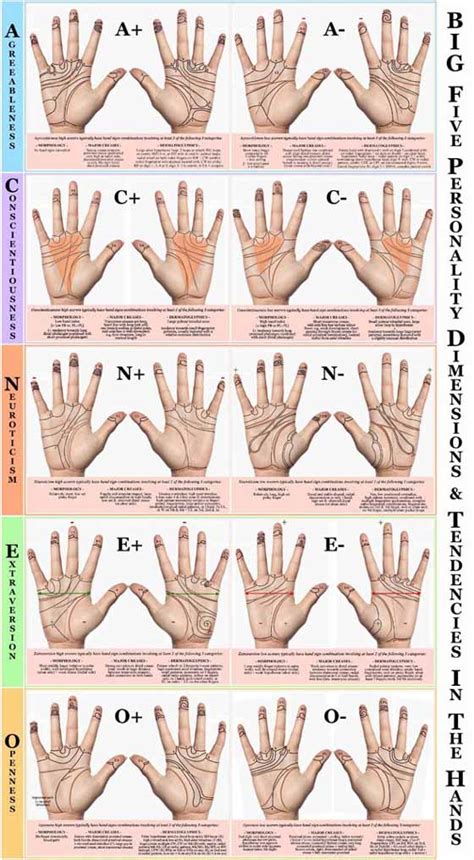 Analyzing the Psychological Interpretation of Finger Loss