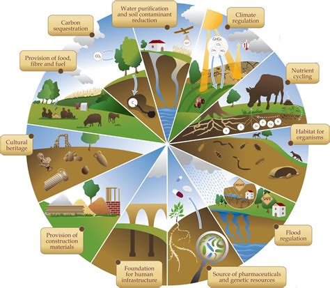 Analyzing the Significance of Soil in Dreams: Unveiling its Representational Significance