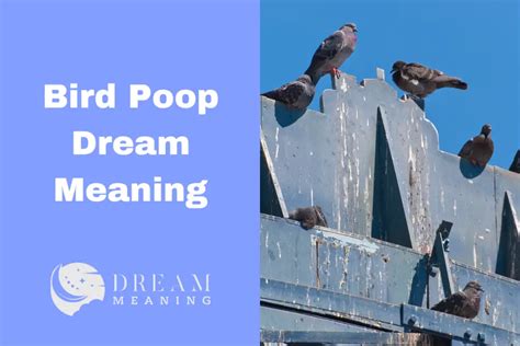 Analyzing the Various Hues of Pigeon Droppings in Dreams