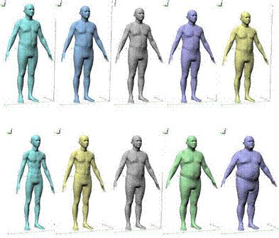 Analyzing the physique and shape of Yui