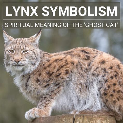 Ancient Legends and Mythology: The Lynx in Folklore