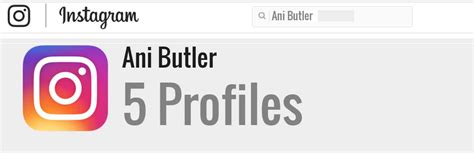 Ani Butler's Net Worth and Earnings