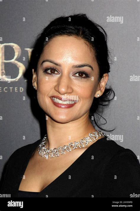 Archie Panjabi's Journey to Fame