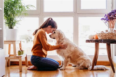 Assessing Your Lifestyle and Commitment to Pet Ownership