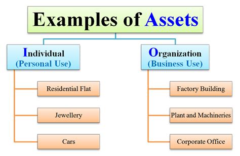 Assets and Financial Standing of the Esteemed Individual