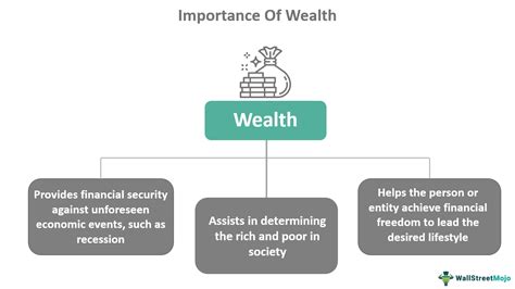 Assets and Wealth of the Accomplished Individual