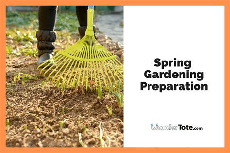 Awaited Rituals: Spring Cleaning and Gardening Preparation