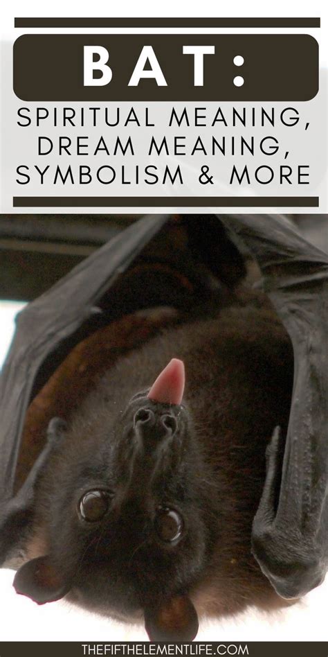 Bat's Touch: Symbolism and Significance