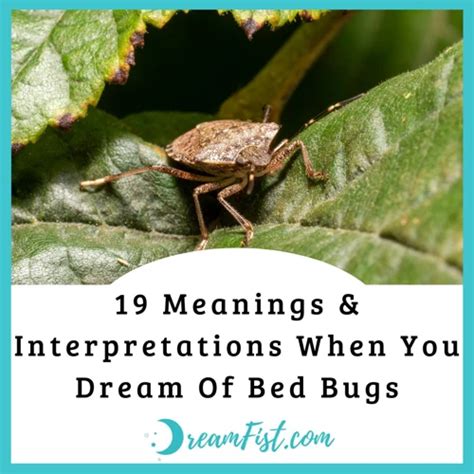 Bedbug Nightmares: Exploring the Symbolism Behind Their Presence in Dream Imagery