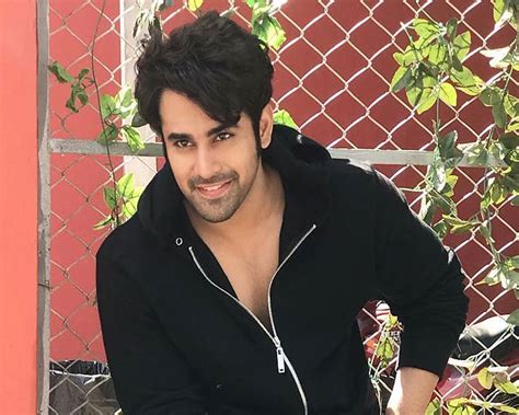 Behind the Scenes: Pearl V Puri's Journey to Success