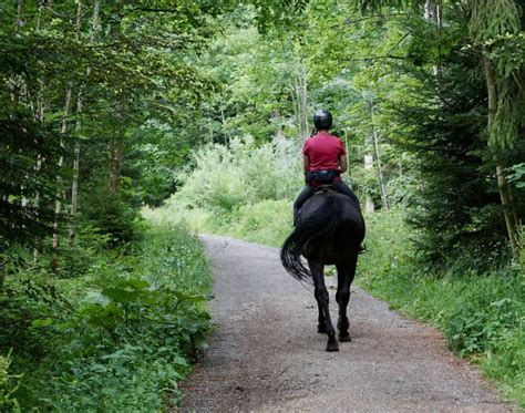 Benefits of Horseback Riding for Physical and Mental Well-being