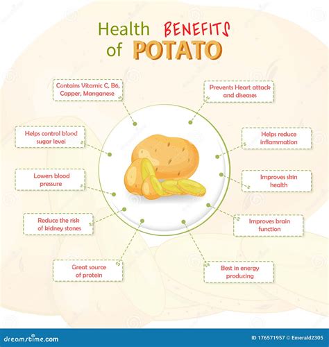 Benefits of Potatoes for Your Health: Nutritional Value and Mouthwatering Recipes