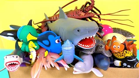 Beyond Entertainment: Unveiling the Educational Potential of Toddler Shark