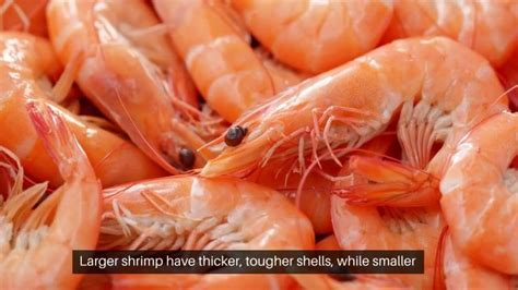 Beyond the Shell: Unveiling the Nutritional Advantages of Shrimp