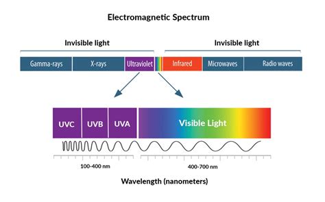 Beyond the Visible Spectrum: Revealing the Secrets of Invisible Light