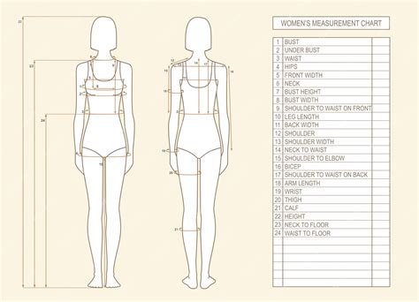 Bibiana's Figure Measurements