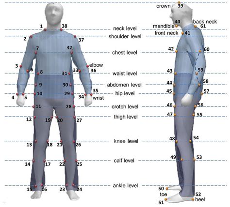 Bio Metrics and Body Shape