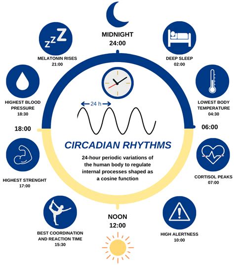 Biological Clock and Vertical Measurement of Gea Ahe