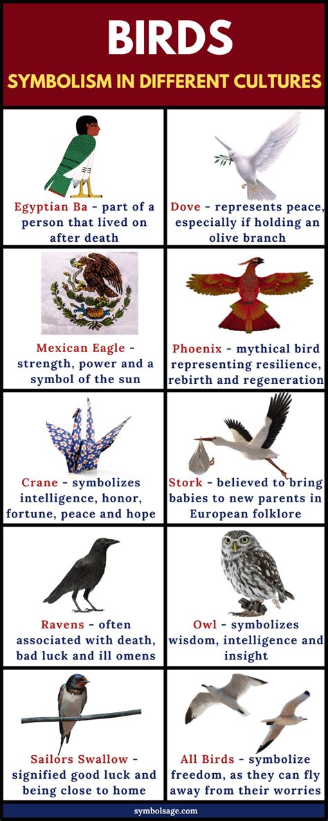 Birds as Symbols in Dreams