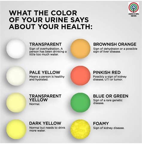 Blood in Urine: An Indicator of Potential Health Issues