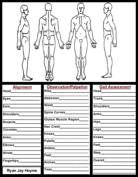 Body Evaluation