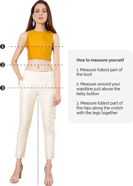 Body Measurement of the Talented Celebrity