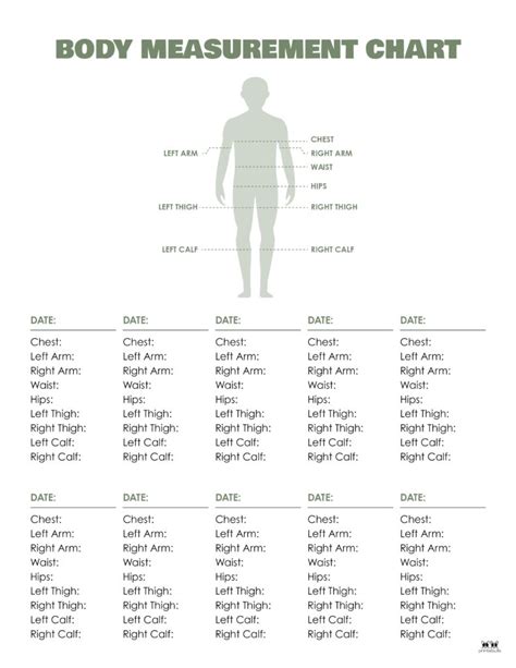 Body Measurements Breakdown