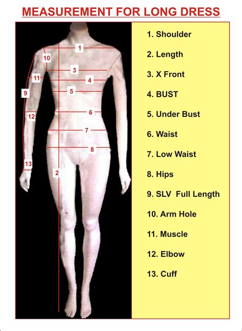 Body Measurements Details