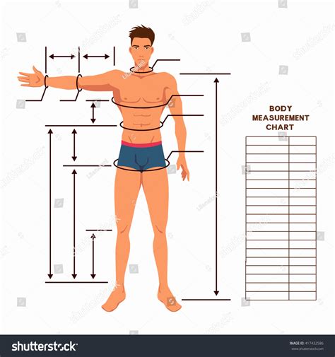 Body Measurements Overview