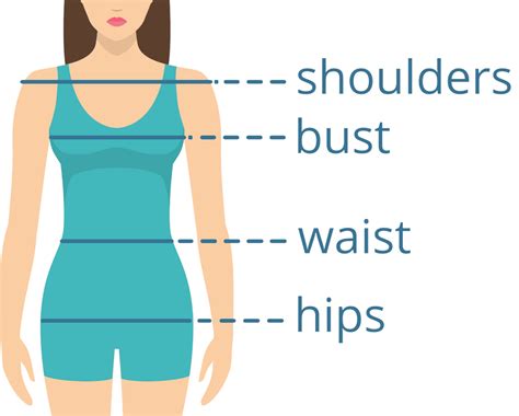 Body Measurements and Figure Details