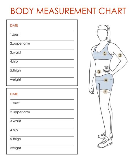 Body Measurements and Fitness Regimen