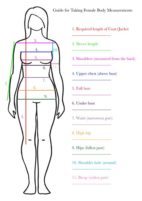 Body Measurements and Style Preferences