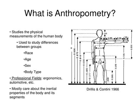 Body Parameters and Physical Statistics of Paxton Pierce