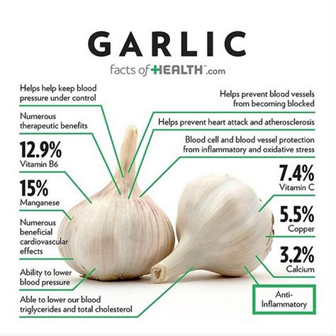 Boosting Immunity and Fighting Diseases: The Health Benefits of Verdant Garlic