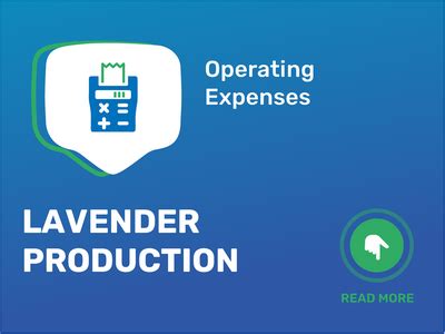 Breakdown of Lavender Rayne's Earnings