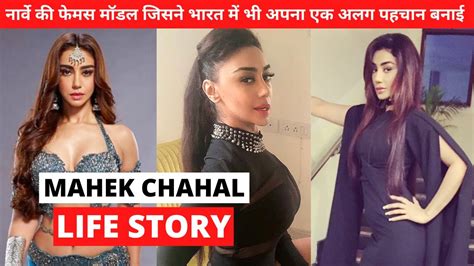 Breakdown of Mahek Chahal's Revenue Streams