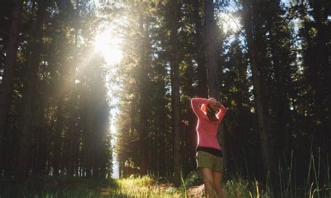 Bridging the Gap Between Mind and Body: Stream Immersion for Stress Relief