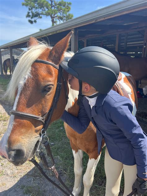 Building a Special Connection with Your Equine Companion