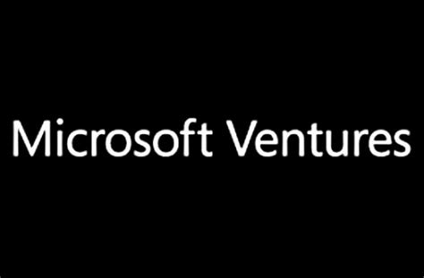 Business Ventures Beyond Microsoft