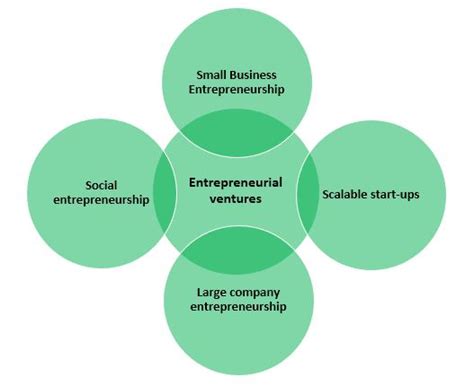 Business Ventures of the Accomplished Entrepreneur