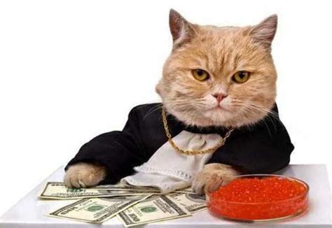 Calculating the Riches: The Value of a Fair Feline