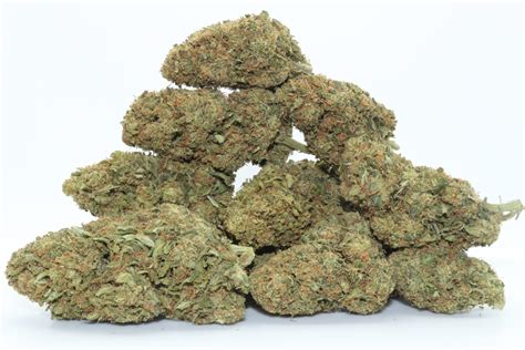 Candy Kush Educational Background Overview