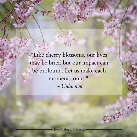 Captivating Blossom Quotes that Celebrate Regeneration and Advancement