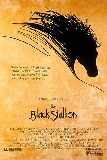 Captivating Tales of Ebony Stallions in Literature and Cinema