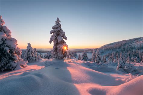 Capturing the Beauty of Snowy Landscapes